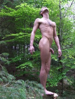 Bare in the Woods