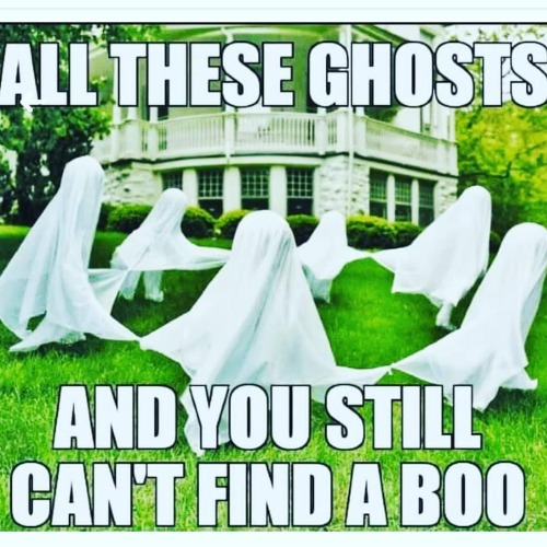 #happyhalloween Did your #boo #ghost you 👻 #repost via @donaldleconte
https://www.instagram.com/p/CHA-fxFp3BI/?igshid=w5jumerirloa