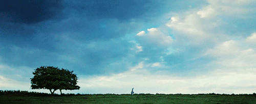 darcythornton:Pride and Prejudice (2005) dir. Joe Wright