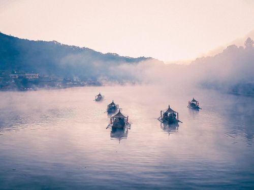 Another shot of the mist on the lake at Mae Hong Son, Thailand. . . . . #nature #maehongson #leewi