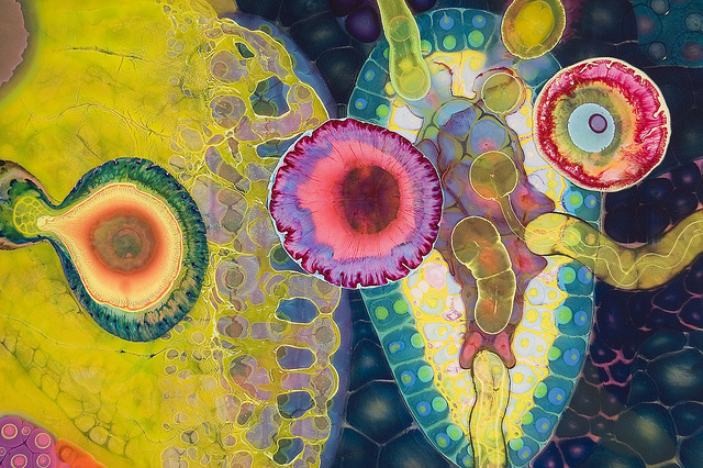 franki-e:wetheurban:ART: Psychedelic Paint and Poured Resin Artworks by Bruce Riley