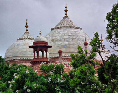 TAJ MAHAL, AGRA, INDIA by toyaguerrero on Flickr.