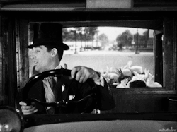 nitratediva:  Cary Grant and a carload of bunnies in Kiss and Make-Up (1934).  Me currently, on the way to the airport! 😄