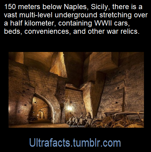 ultrafacts:Source: [x]Click HERE for more facts!