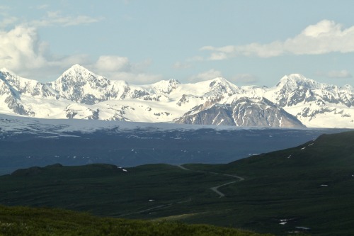 highways-are-liminal-spaces: Views of the northern Alaska Range, along the Denali HighwayTaken June 