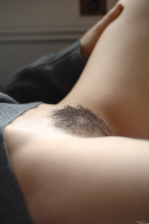 Hairy Bush