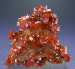 bijoux-et-mineraux:  Vanadinte and Barite