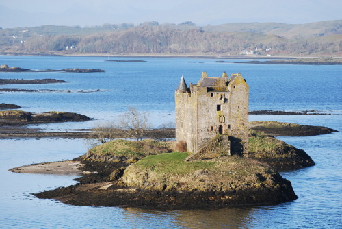 portuguesefromhell:So, while searching for a castle to talk about on Medieval Urban History, I came 