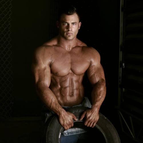 Adonis Files