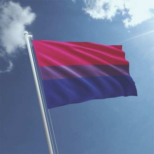 biaesthetc:bi pride!! Happy Bi Visibility Day