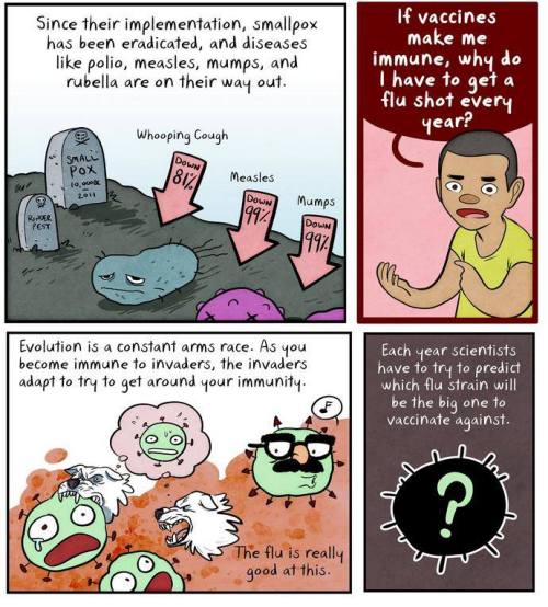 pokeaday:  socialjusticeprincesses:  get fucking vaccinated  A lovely and informative comic about Vaccinations.  Well done friend!