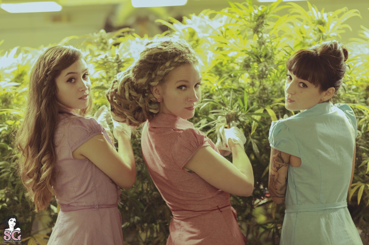 past-her-eyes:   Damsel Suicide + Dimples Suicide + Brewin Suicide www.suicidegirls.com/girls/damsel
