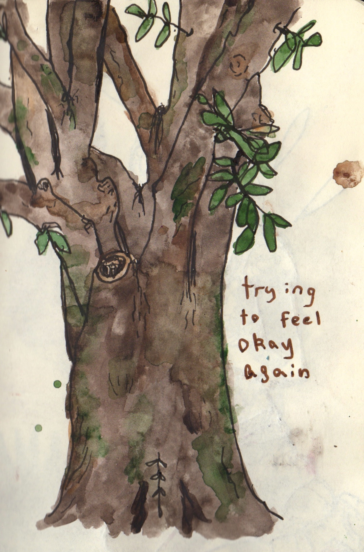 journey-to-nirvana:  allmymetaphors:  trees are so cool     yes janes