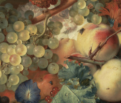 achasma:Fruit Piece (detail) by Jan van