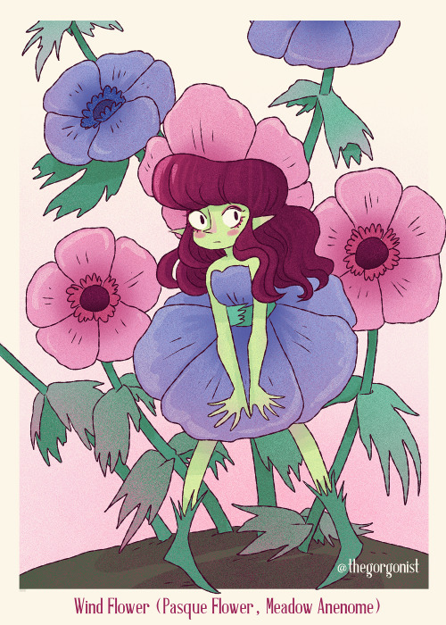 Poisonous Flower Fairy catch up! 26 and 27 were Wild Arum and Windflower. I&hellip;drew the wrong wi