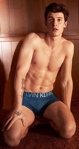Porn photo zacefronsbf:  Shawn Mendes for Calvin Klein