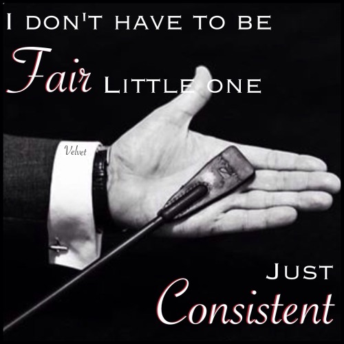 alphadaddydom:  Consistent expectations is key.  ~Daddy