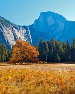 americasgreatoutdoors:  Yosemite Valley is spectacular any time of year and fall is no exception. Photo: Douglas Croft (www.sharetheexperience.org) 