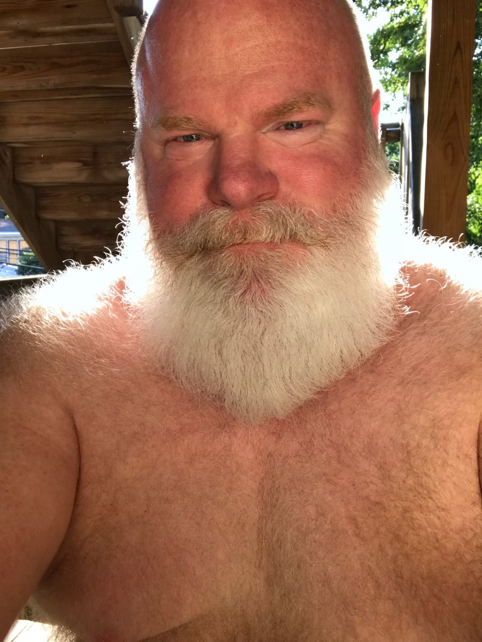 beefyred:  Good morning from chicago