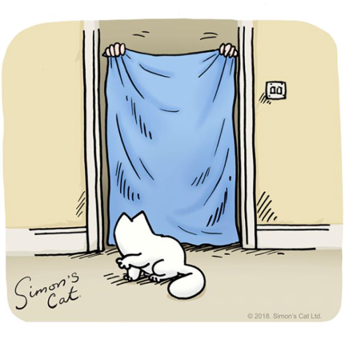 Sex catsbeaversandducks: By Simon’s Cat Official pictures