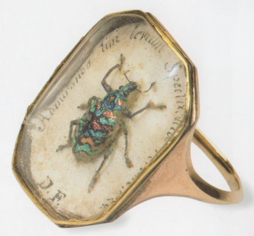 thingsunderglass:English weevil specimen ring c. 1800. London Natural History Museum.