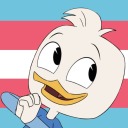 trans-duckverse avatar