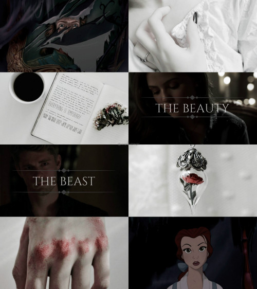  ❝For who could ever learn to love a beast?❞ 