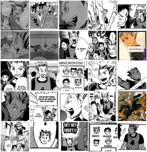 mausalen: I fucking did it, 243 panels in total Bokuto’s appearances in the manga. EVERY. FUCK