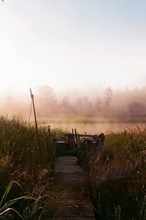 Film from the cabin