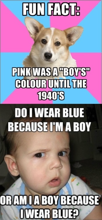 “In Europe and the United States, pink is often associated with girls, while blue is associate