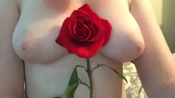 anem1cr0yalty:  roses are red violets are blue  you should spoil me  i’ll make some photos for you