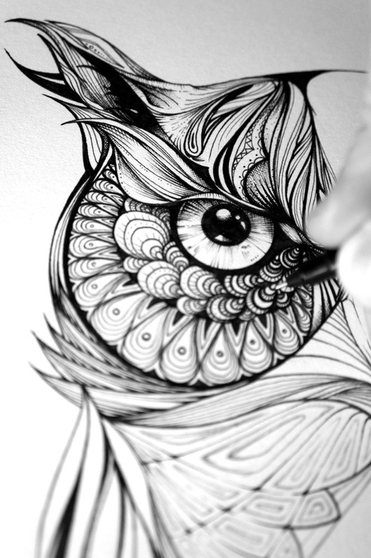 fer1972:  Greg the Owl by Greg Coulton 