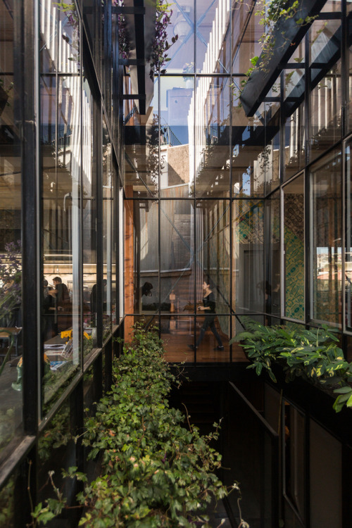 archatlas:    Natural Light and VentilationCourtyards bring many advantages to a design such as increased natural light and improved ventilation conditions, while providing occupants with direct access to the outside and to nature. Here is a selection