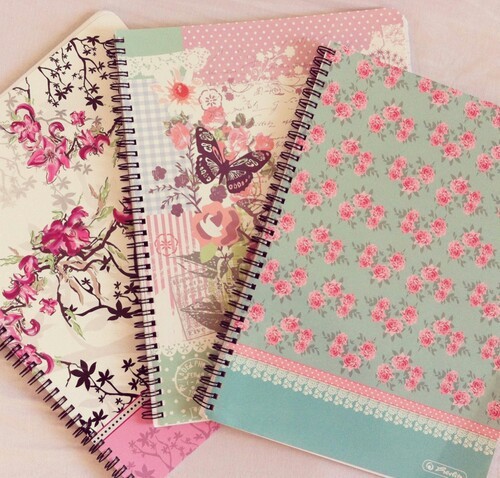 Anna Banks’ Blog || February 20th, 2015 || Newest Journals || 