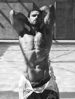 schleifstein:  Stuart Reardon 