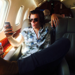 harrystylesdaily:  louteasdale: Harry’s come to work dressed as Ace Ventura today 