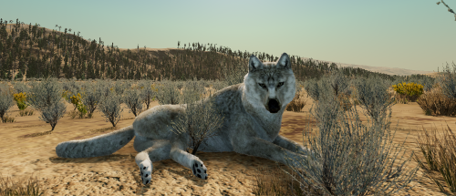 WolfQuest: Anniversary Edition