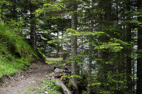 Pyrénées by Arseni Mourzenko