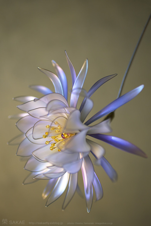 myampgoesto11:Beautifully designed traditional Japanese Kanzashi hair ornaments by Sakae