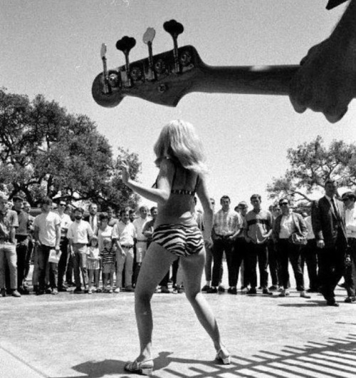 rockstars-and-spiders-from-mars ☾