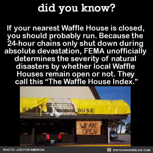 grim-reaping:flowersforone:ayalaatreides:did-you-kno:If your nearest Waffle House is closed, you sho