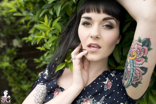  Saiylor Suicide 