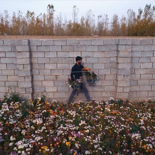 everydayiran:A florist at work. #Mashhad, #RazaviKhorasan, #Iran. Photo by Mojtaba Enayati @m0jtabi 