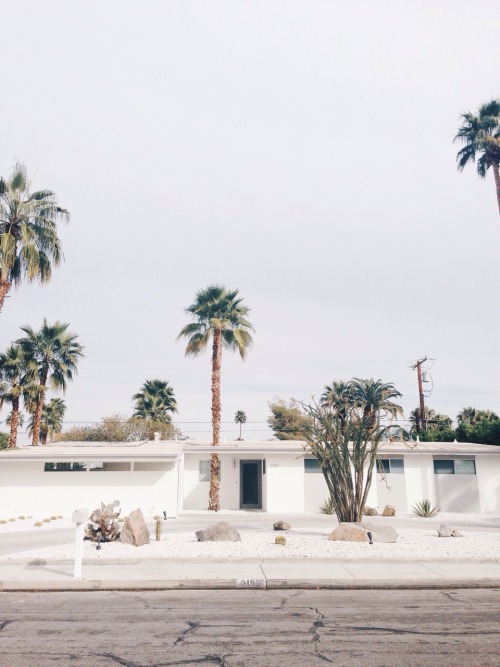 monikatischer:Palms Springs, CA.