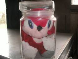 awkwardsonicphotos:  my boyfriend found a Knuckles In A Jar in his closet and we dont know how it ever came to be. rock on knuckles. we will preserve you so that youre ready to take over the world when the time comes 