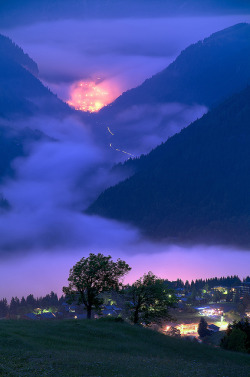 tulipnight:  Après l’orage by Fredorod