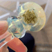 :time to christen my new bowl 😍