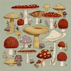 libbyframe:Iil mushroom patch 