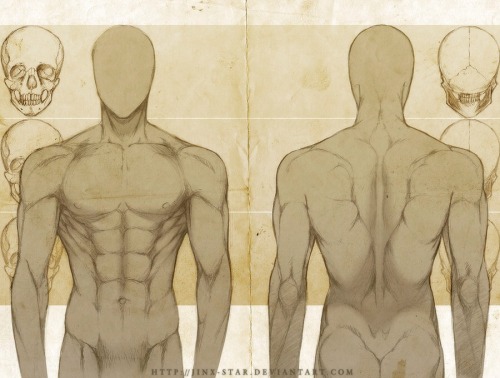 fucktonofanatomyreferences:  A glorious fuck-ton of male anatomy references by Jinx-Star on DeviantA