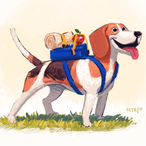 “Tell me of ur adventure beagle dog…” part of a text my girlfriend sent me. . 